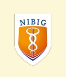 nibig logo2